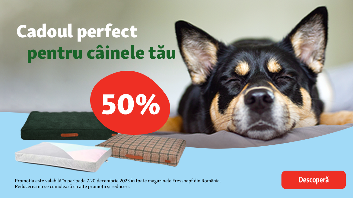 Căldură și confort pentru câinele tău!