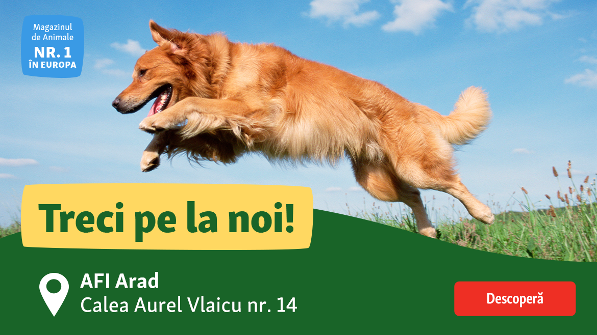 Sărbătorește cu noi noua deschidere!