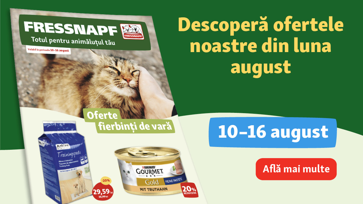 Ofertefierbinți de vară