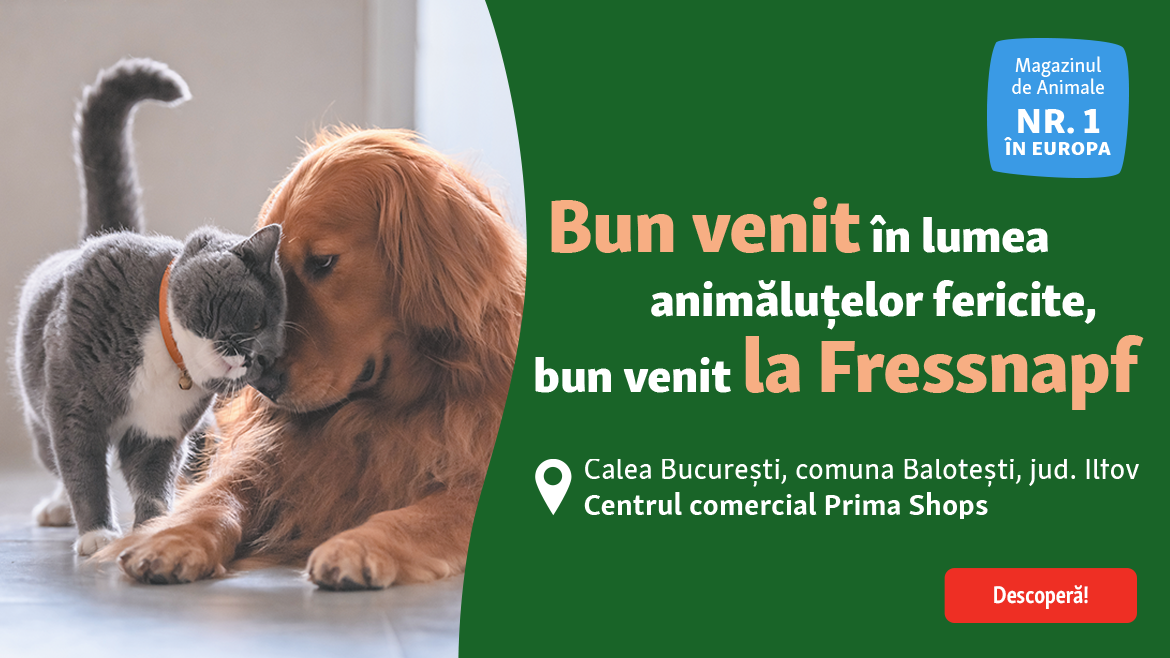 Deschidem un nou magazin în Balotești!