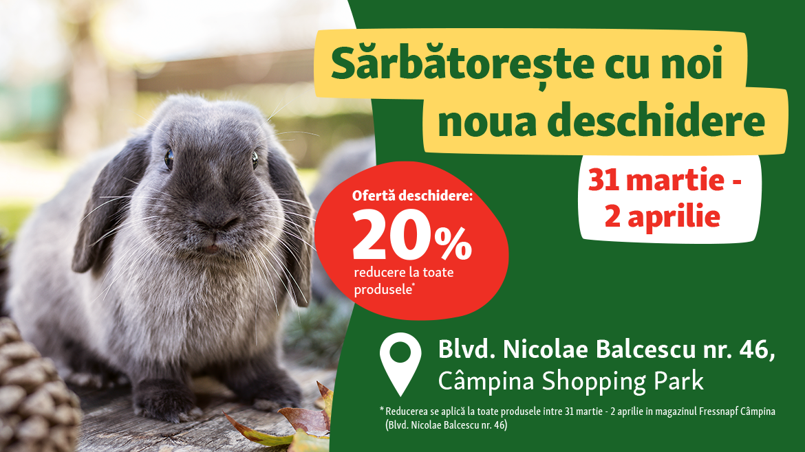 Reduceri la deschidere în Câmpina!