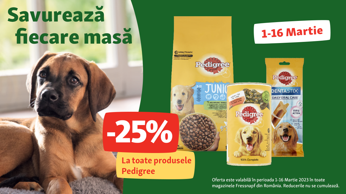 Surprinde-ți prietenul loial cu bucate delicioase!