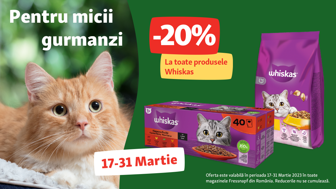 Bunătăți apetisante pentru pisicuța ta!