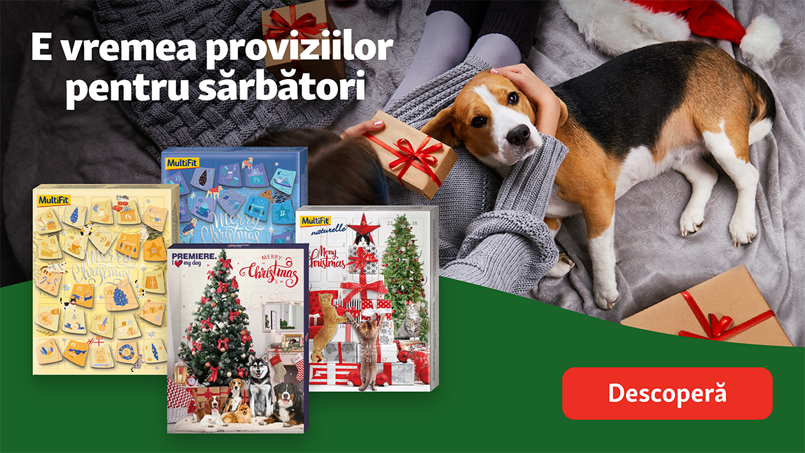 Un deliciu surpriză în fiecare zi!