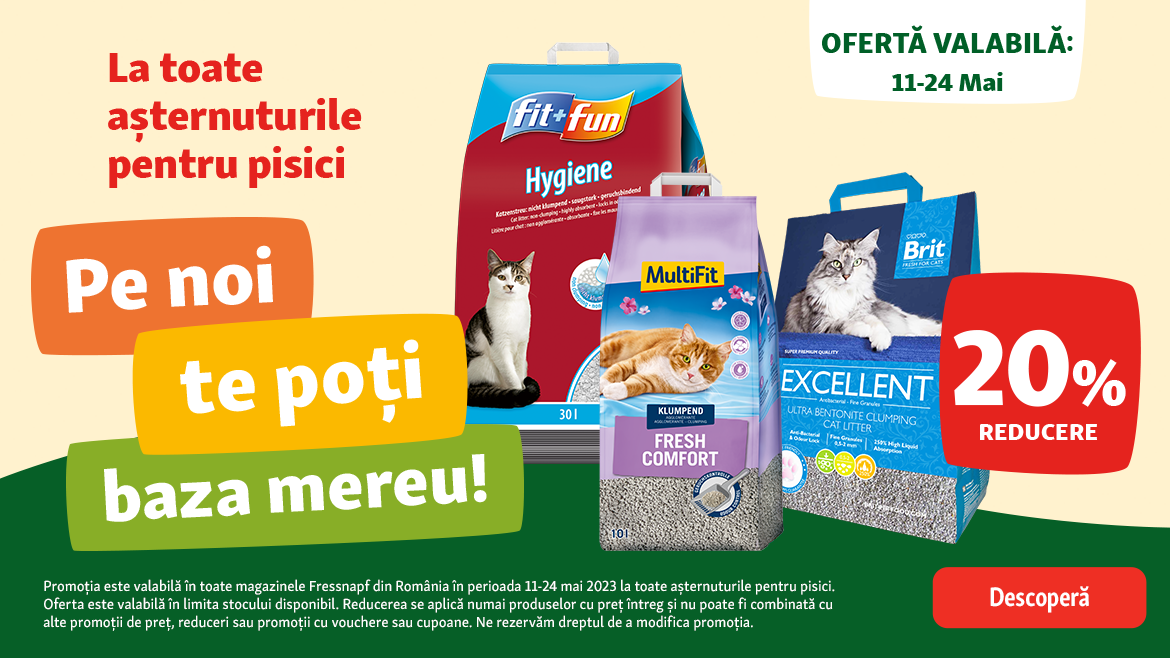 Pentru noi, confortul pisicii tale este pe primul loc!