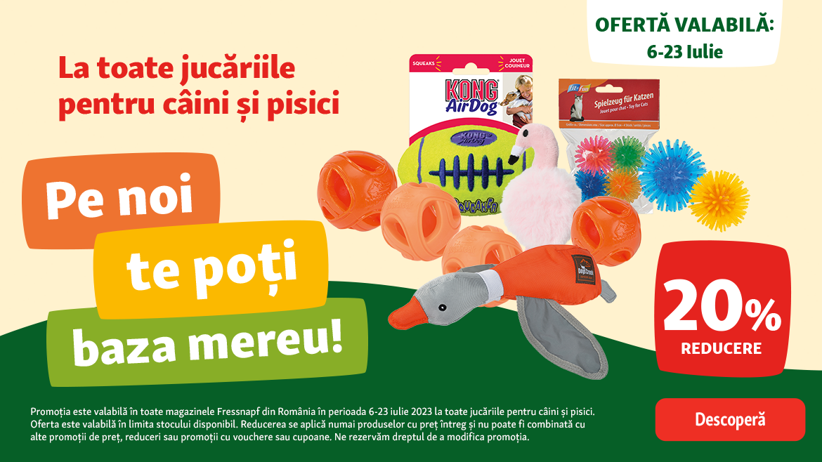 Distracție garantată pentru blănoșii tăi!