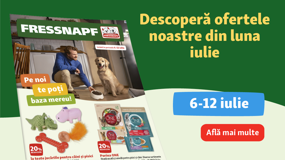 Răcorește-te cu ofertele noastre din această lună!