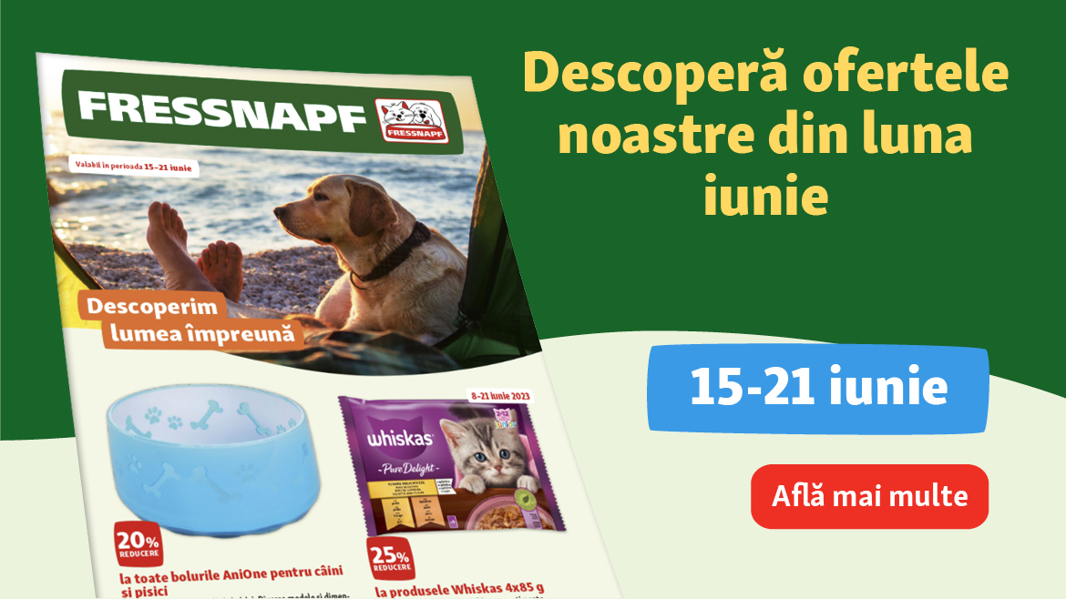 Au sosit ofertele noastre de început de vară!