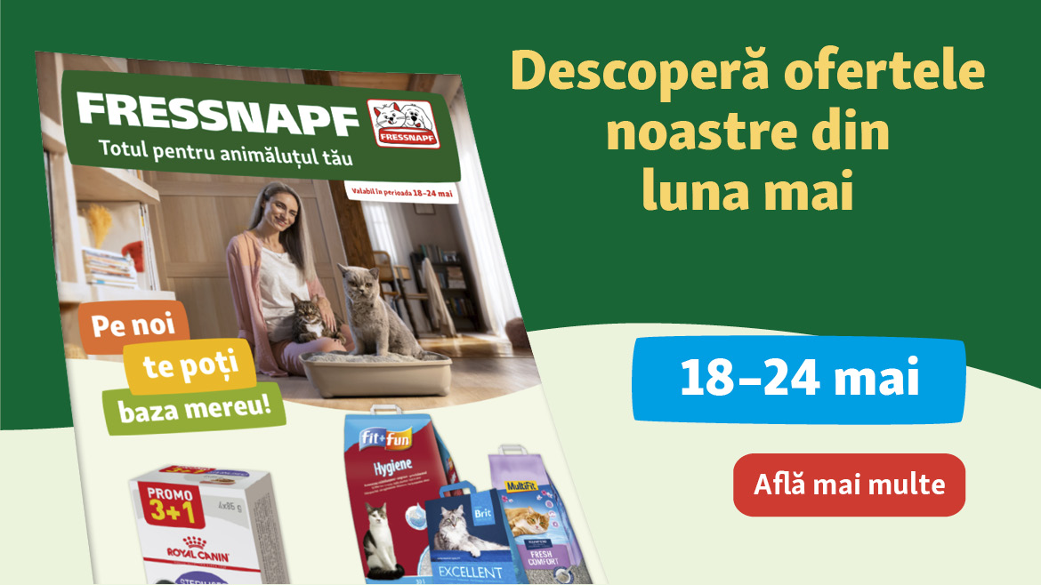 Descoperă ofertele noastre din această lună!