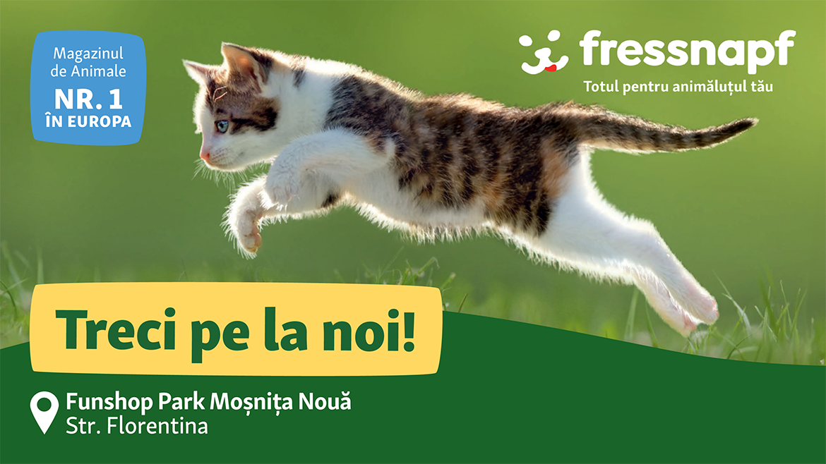 A sosit magazinul preferat al animăluțului tău! 