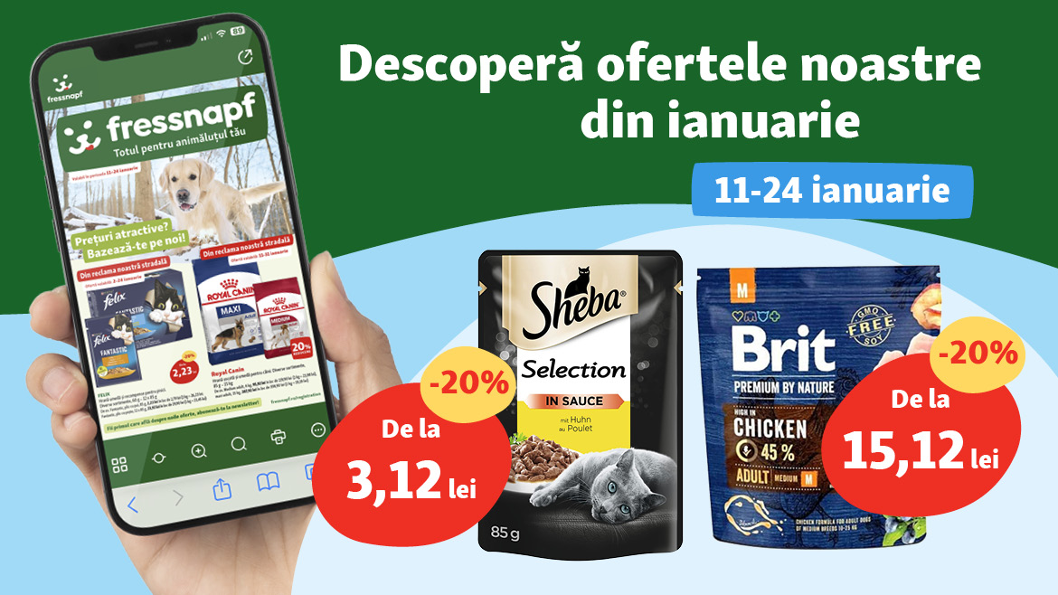 Te poți baza pe noi și în noul an!