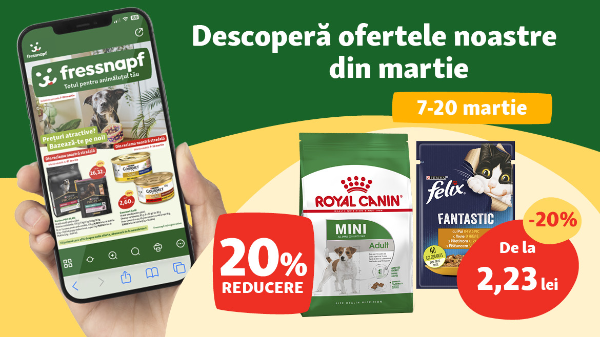 Noi experiențe și momente de relaxare la prețuri atractive!