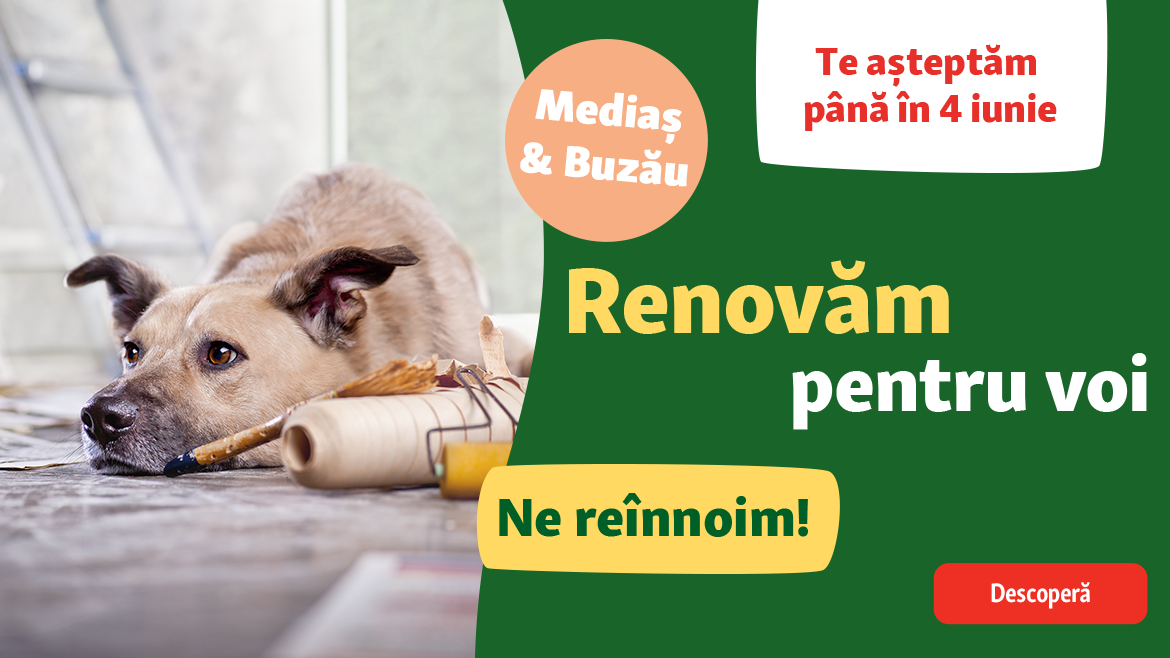 Reînnoim pentru voi!