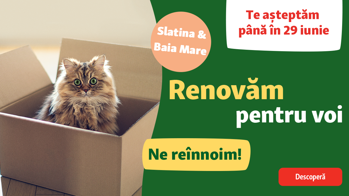 Îmbunătățim magazinele pentru voi!