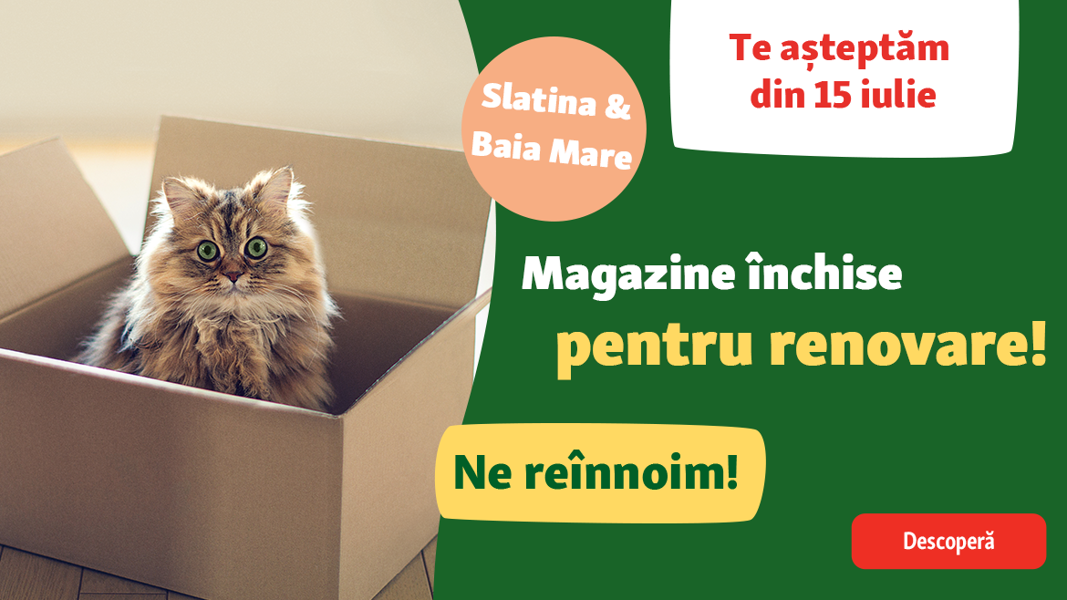 Magazine închise temporar pentru renovare!