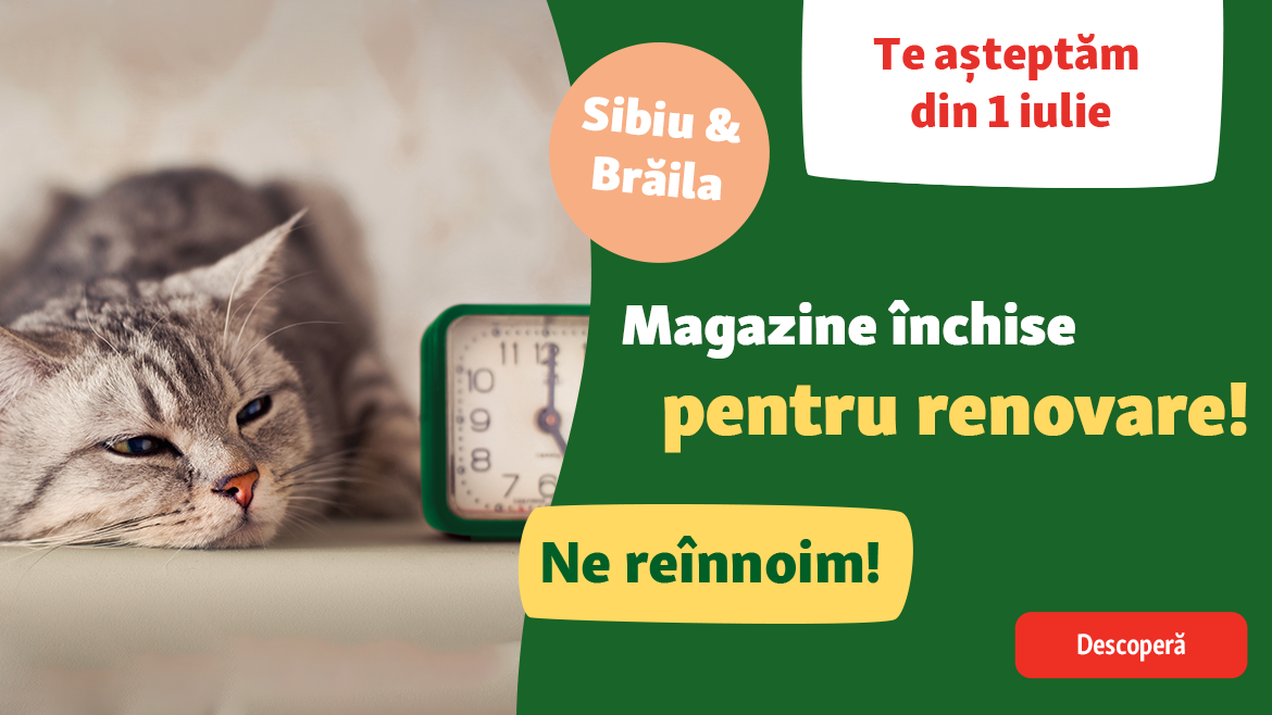Magazine închise temporar pentru renovare!