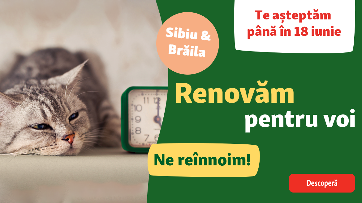 Renovăm pentru voi