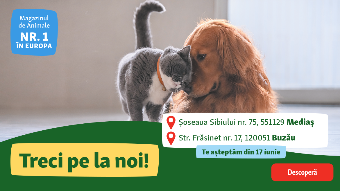 Vizitează-ne și descoperă magazinele reînnoite!