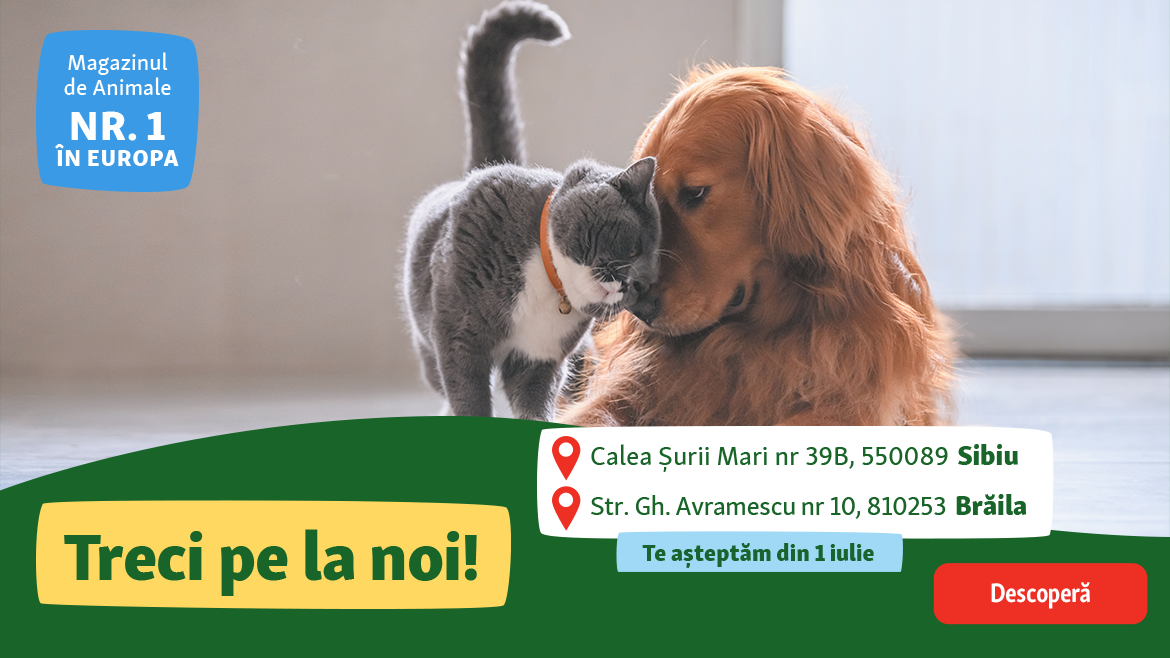 Vizitează-ne și descoperă magazinele reînnoite!