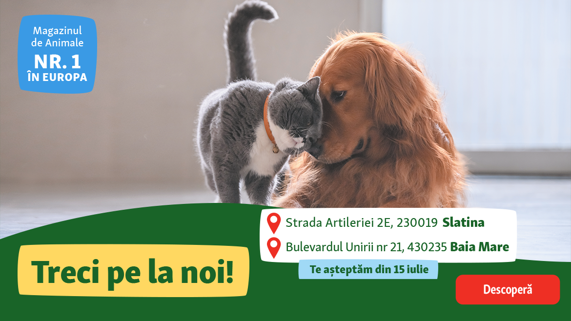 Vizitează-ne și descoperă magazinele reînnoite!