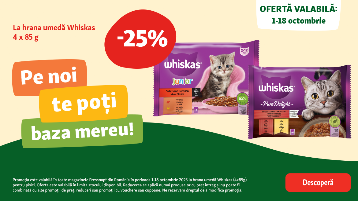 Bunătăți la reducere pentru feline!