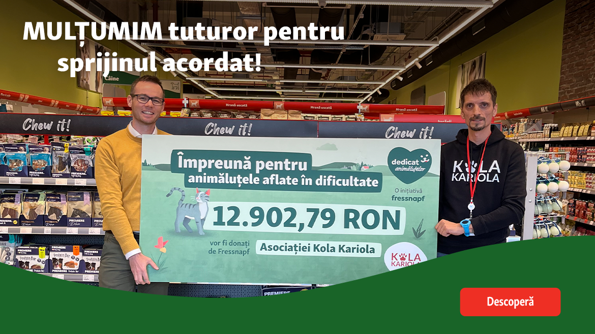 Împreună am strâns peste 12.000 pentru pisicile fără stăpân!