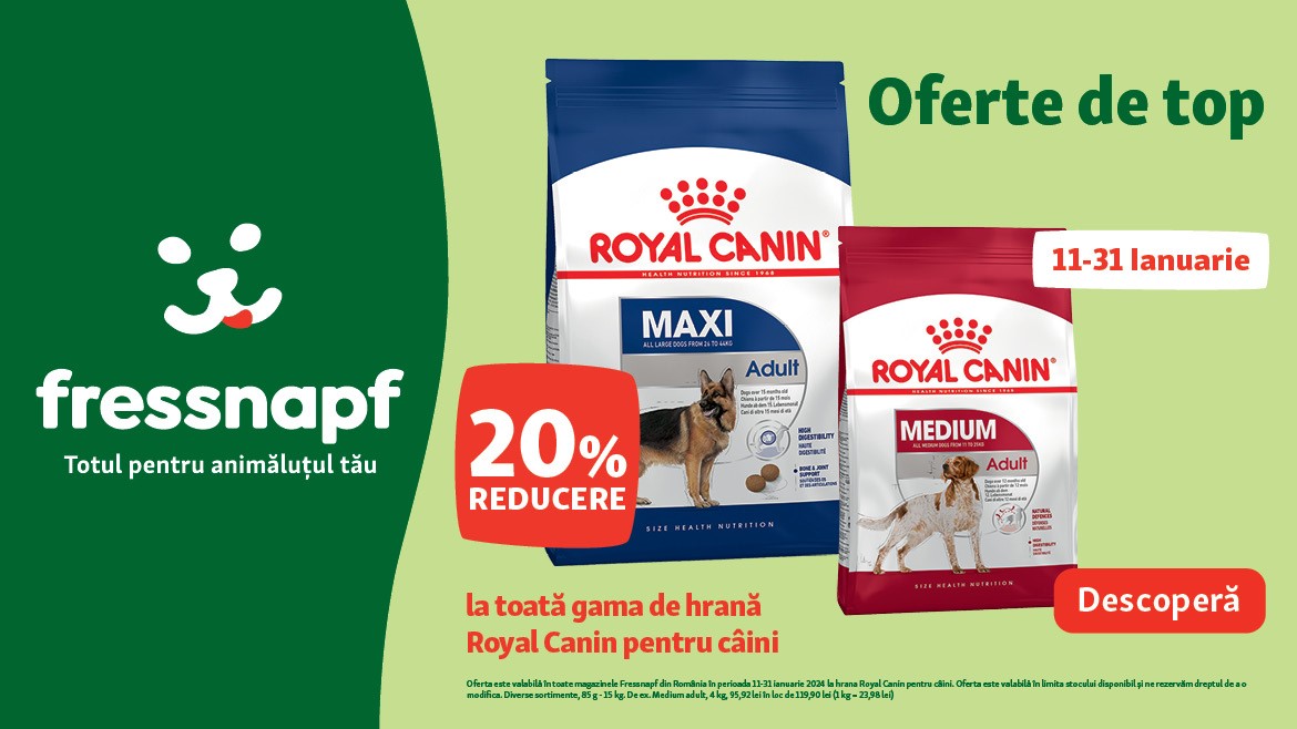 WOW! Ofertă de nerefuzat pentru hrana Royal Canin!
